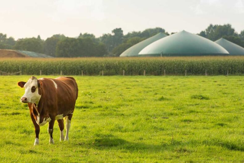 Բիոգազի կարևորությունը 2023 թվականին